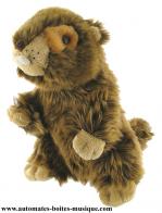 Ours en peluche automates Animal en peluche musical avec ficelle : marmotte en peluche musicale avec ficelle