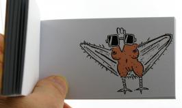 Folioscopes, feuilletoscopes ou flip books (Livres de dessins anim&eacute;s) Folioscope, feuilletoscope ou flip book : flip book "La poule exhibitionniste"