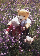 Bo&icirc;tes &agrave; musique avec photo imprim&eacute;e Bo&icirc;te &agrave; musique en bois avec photo imprim&eacute;e : bo&icirc;te &agrave; musique avec ours en peluche