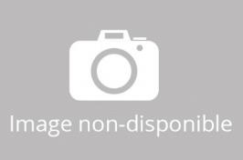 Boules à neige musicales de Noël disponibles sur commande (nous contacter) Boule à neige musicale de Noël avec globe en verre, neige et harfang des neiges sur une branche