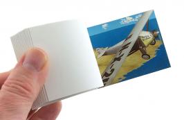 Folioscopes, feuilletoscopes ou flip books (livres de dessins anim&eacute;s) Folioscope, feuilletoscope ou flip book (livre ou livret de dessins anim&eacute;s) - Histoire du vol