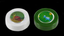 Boîtes électroniques avec cris d'animaux Lot de 2 boîtes électroniques avec cri de l'oiseau et bruit du grillon