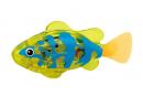 Poisson automate ou poisson robot mécanique avec lumière, piles fournies et détecteur d'eau