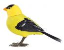 Oiseau automate chanteur &eacute;lectronique et interactif avec mouvement du bec et de la t&ecirc;te